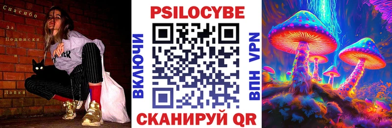 Галлюциногенные грибы Psilocybine cubensis  Купить закладки  Ядрин 